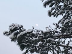 -天目湖涵田半山温泉