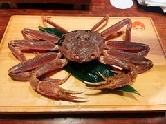 -蟹道乐(新宿本店)