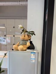 -LJOY丽锦造型·烫发染发