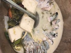 江团鱼-云中鱼蒸汽石锅鱼(川沙百联店)