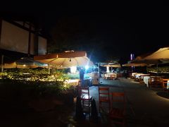 -高坎一品甲鱼庄(两河店)