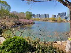 -大兴滨河森林公园