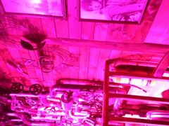 -周庄红庭演艺酒吧