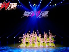 -西安小天鹅艺术团(金花路校区)