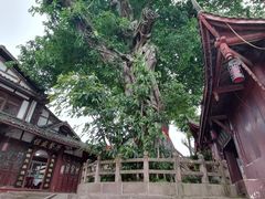 -黄龙溪古镇