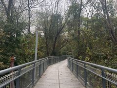 -佛山华盖山公园