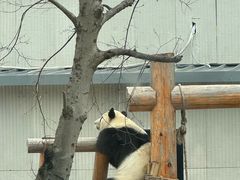 -无锡动物园·太湖欢乐园