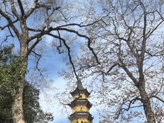 -阿育王寺素斋馆