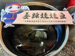 -印象鲵宴·张家界地标美食名片(溪布街店)