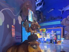 -烟台海昌鲸鲨海洋公园