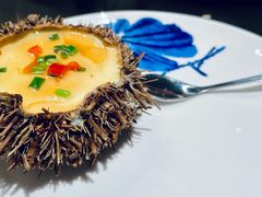 海胆蒸蛋-东莱馋房(陆家嘴店)