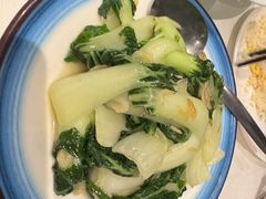 -峨嵋一派
