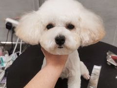 -宠福鑫康馨动物医院·骨科·眼科