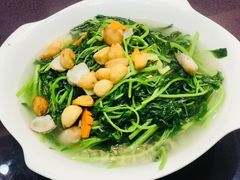 上汤苋菜-广东胜利宾馆西关粤中餐厅