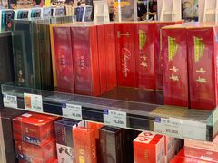 -中部国际机场