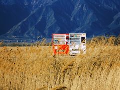 -野鸭湖国家湿地公园