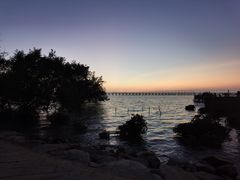 -宝安西湾红树林湿地公园