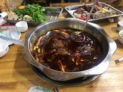 -金鼎雪山牦牛杂火锅(理县总店)