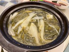 煲淋白菜-沙龙酒家