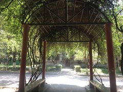 -陕西师范大学(雁塔校区)