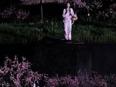 -常德桃花源景区