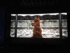 -万达影城(唐山爱琴海XLAND店)