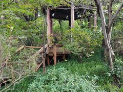 -新江湾城公园