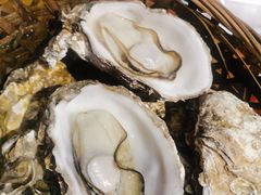 -蚝堡海鲜·威海菜·海肠捞饭·烧烤·亚洲吃蚝公司(幸福门店)