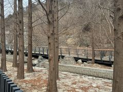 -白水寺森林公园