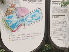 -北京麋鹿生态实验中心