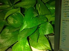 android_upload_pic-缪氏川菜(丰盛町店)
