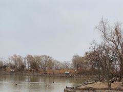 -盐城丹顶鹤湿地生态旅游区