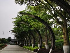 -映月湖公园