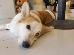 -平行世界·猫咖(首经贸店)