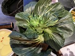 -巴蜀大将火锅(春熙店)
