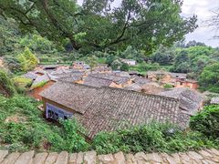 -杨家堂村