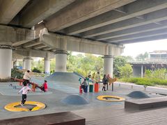 -白鹭湾湿地公园