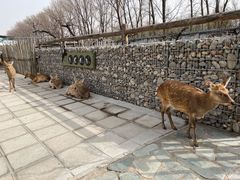 -VS SPORTS PARK运动玩乐园·团建·生日会(合生汇店)