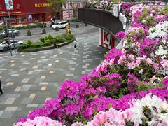 -龙湖重庆时代天街