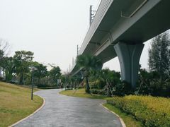 -宝安西湾红树林湿地公园