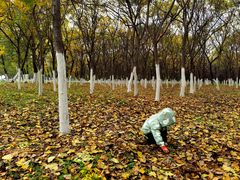 -渭河城市绿地运动公园
