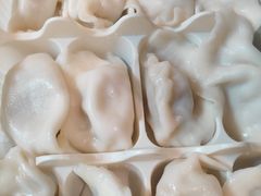 -东方饺子王臻味餐厅(新嘉坡城店)