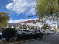 -如意林卡藏餐吧(大昭寺店)