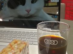 -博瑞祥云奥迪4S店