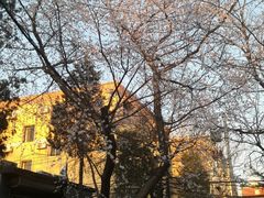 -百年义利(甜水园东里店)