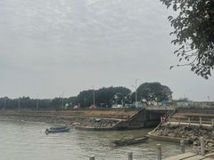 -海鸥岛