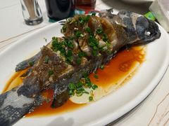 -金海湾海鲜排档(朱家尖店)