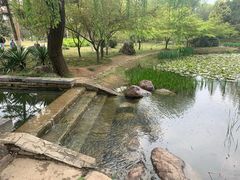 -洛阳市隋唐城遗址植物园