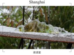 -瓷语堂(上海五维空间创意园店)