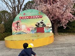 -苏州太湖国家湿地公园